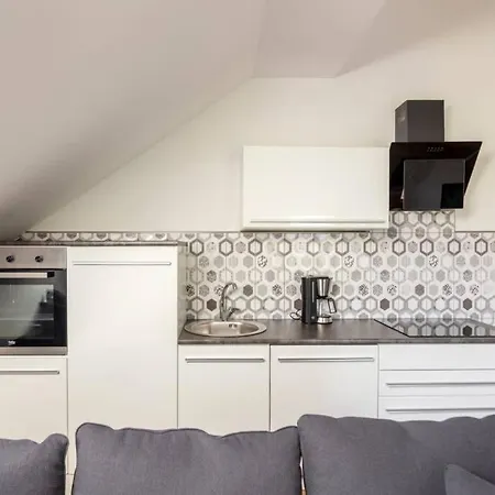 Black And White 1 Apartment Ljubljana